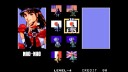 ACA NeoGeo Selection Vol. 5 Nintendo Switch Spill