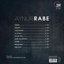 Rabe  Raven