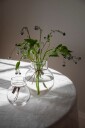 Ernst Vase   Glass H14cm Klar