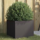 Plantekasse svart 32x30x29 cm kaldvalset stål