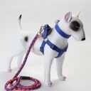 3 Delers Selesett Til Hund: Sele/Halsbånd/Kobbel