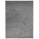  Teppe OVIEDO kort luv antrasitt 240x340 cm 8721012230767