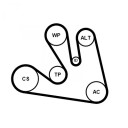 CONTITECH 7PK1675K1 Kileremsett