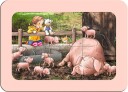Ravensburger Exploring The Farm 3x6p