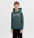 Jack & Jones Junior   Hettegenser jjeCaleb Varsity Sweat Hood Noos JN   Blå