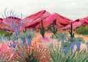 Bright Desert Plakat Plakat / 40x50cm