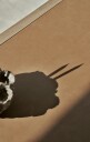 Vipp 430 Studio Skrivebord 60x125 Lys Eik/kamel