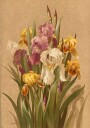 Fleur De Lis No. 3 Plakat Plakat / 40x50cm