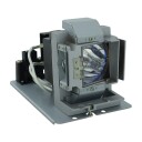Vivitek projektorlys D755WT/D757WT
