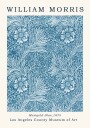 Marigold Blue Plakat Plakat / 100x150cm