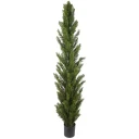 Mr Plant Cypress Tre 210 cm