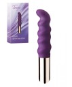 Tango Diego minivibrator
