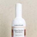 Waterclouds Gloss Revive Shampoo 250 ml