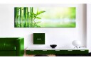 Bilde Green Bamboo 120x40 Artgeist sp. z o. o.