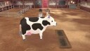 Story of Seasons: A Wonderful Life (Limited Edition) (Xbox Series X)