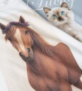Name It Gensere   2 pack   NkfVotea   Bright White/Dempet Blue   Name It   4 år (104)   Genser Blå Hvit Lyseblå