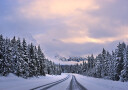 To the Wonderland Plakat Plakat / 50x70cm