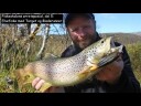 Prey Target Wobbler 8,5 cm 12 gram - #426 Smolt