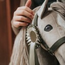 Cheval Roi Kjepphest tilbehør Rosett Sage Green