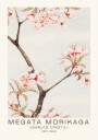 Sakura Cherry Japanese Blossom Megata Morikaga 1870–1880 Plakat Plakat / 21x30cm