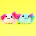 Squeeze Axolotl – klembar plysj m/boblemage assortert