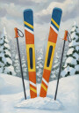 skiing Gear Plakat Plakat / 30x40cm