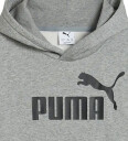 Puma ESS Big Logo Hoodie FL B hettegenser junior Grey 176