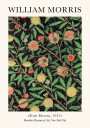 William Morris Fruit Pattern Plakat Plakat / 100x150cm