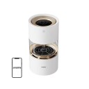 Smartmi Rainforest
