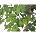 Europalms Ficus Tree Multi-Trunk, 180cm