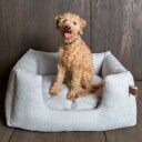 Fantail Snooze Origin Hundeseng 60x50 cm Silver Spoon
