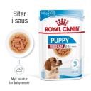 Royal Canin Våtfôr til Valp Medium 10x140g med Kjøtt