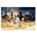 Norimpex 1006299 Diamantmosaikk Hester i Galopp Puslespill   40x30 cm