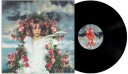 Dust Settles And So Will I Vinyl