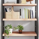 vidaXL Vegghylle 100x50x6 cm ubehandlet heltre eik