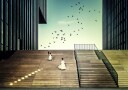 Free like a bird... Plakat / 40x50cm