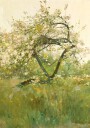 Peach Blossoms Villiers-le-Bel By Childe Hassam Plakat Plakat / 21x30cm