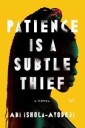 Patience Is A Subtle Thief Av Abi Ishola-Ayodeji