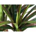 Europalms Dracena, Artificial, 120cm