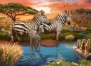 Ravensburger - Puzzle Zebras In Sunset 500p  12000365 