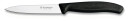 Victorinox Grønnsaks- og Skrellekniv Spiss 10 cm Nylonhåndtak Svart