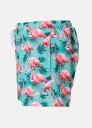 Blount & Pool Beach Stretch Shorts JR