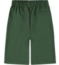 Molo Shorts   Add   Gummitre   Molo   10 år (140)   Shorts   Grønn