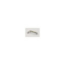 TonePros NVR2G C Tune-O-Matic Bridge