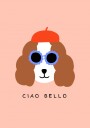Stylish Dog Beret Shades Plakat / 40x50