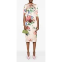 Dolce & Gabbana Dame Kjoler Flerfarget S,
