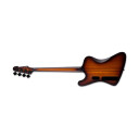 LTD PHOENIX-1004 Tobacco Sunburst Satin