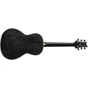 PRS SE PPE20DG Parlor Dog Hair