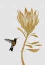 Hummingbird & Flower I Plakat / 100x150cm