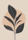 Black Abstract Plant Plakat Plakat / 40x50cm